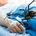 Pacijenta ujela crna udovica u bolnici: Užas u Grčkoj
