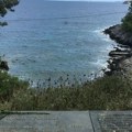 Đaci Trinaeste beogradske gimnazije na putu od "Plave grobnice do Kapije slobode"