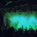 Deveti Zlo festival u subotu u Novom Sadu