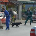 U okolini Prokuplja gradi se azil za oko 200 pasa, prvi radovi 3,7 miliona dinara