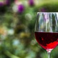Naučnici otkrili zbog čega i malo vina može izazvati glavobolju