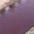 "Krvava" reka u Novom Pazaru Jeziv prizor sa Raške, na lice mesta odmah stigla policija