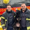 Slika koja obilazi Srbiju: Vatrogasci spasili život u Sopotu, izvukli psa iz bunara dubokog 20 metara