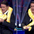 Pitonka Sneža stegla Memedovića: Znate li šta se dešava kada zmija od 20 kg obavije telo oko plena?