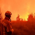 Vatra guta planetu: Izgorelo više od 370 miliona hektara, stručnjaci upozoravaju na najgori scenario