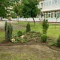 Beogradska škola sada ima zelenije školsko dvorište uz podršku kompanije p&G Beograd