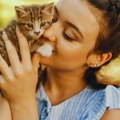 Ako ste dekintos, a hoćete u Grčku – ima fora: Mačke bi mogle da vam „plate“ letovanje