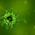 Koronavirus se širi i preko probavnog sistema?