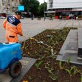 Uređenje javnih površina na teritoriji Medijane