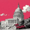 Šta znači zatvaranje američke vlade i kakve su posledice?