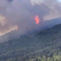 Uhapšen muškarac zbog požara kod Bovanskog jezera