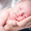 Velika radost u Užicu: Za 24 sata rođeno šest beba
