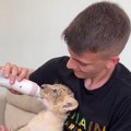 Mladić iz Srbije se hvali egzotičnim životinjama: Kupanje s majmunom, buđenje s lavom