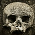 U Poljskoj pronađeno "dete vampir" iz 17. veka: Okovano za grob da ne ustane iz mrtvih
