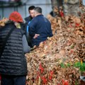 Nikako ne bacajte badnjak u đubre – evo šta treba da učinite s njim nakon Božića