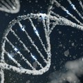 Srbija je deo evropskog projekta koji je temelj za razvoj personalizovane medicine