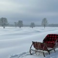 Priroda nas podseća da su najjednostavnije stvari – sneg i stare sanke – dovoljne za savršenu uspomenu