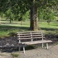 Požar u Limanskom parku u Novom Sadu: Gorelo rastinje na više lokacija, vatrogasci lokalizovali i ugasili vatru (video)