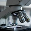 Nanočestice pokazale obećavajuće rezultate u borbi protiv raka prostate