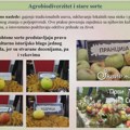 Stare sorte Srbije izuzetno značajne, prisutne u svetu, ali pod negativnim uticajima u zemlji