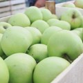 Stigla loša prognoza za Nemačke voćare: Uzgajivači jabuka očekuju ispodprosečan rod