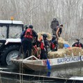 RTV: Vojvodinašume: Sutra evakuacija preostalih konja sa Krčedinske ade