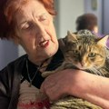 Baka Zlata traži dom za svoju Cici: Nudi i izdržavanje, ali ima samo jednu molbu
