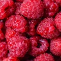Nekada izvoznik mesa, a danas maline – kako se promenio izvoz hrane iz Srbije