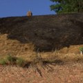 Ugašen požar na Kalemegdanu, gorela trava i nisko rastinje