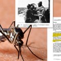 Rojevi "komaraca ubica" puštani na nevine Amerikance: Tajni dokumenti Pentagona otkrivaju