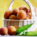 Evo koliko kajsije imaju kalorija i da li goje: Nutricionisti rešili dilemu