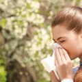 U Beogradu zabeleženo 17 vrsti polena Pucaju alergijske reakcije, Mitrović: Čak su i korovi ranije procvetali