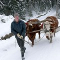 U srpskom Sibiru jutros izmereno minus 10! A na Zlatiboru nula! Već večeras biće padavina, a evo kakvo nas vreme očekuje…