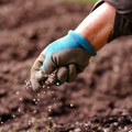 Radimo više od skoro cele Evrope: Srbija druga po broju radnih sati, zašto?