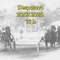 Kasačke trke u nedelju u Despotovu (AUDIO)