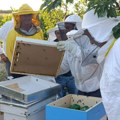 Пчелари из Бојника обележили почетак нове сезоне