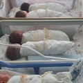 Porodilište KBC "Dragiša Mišović" oborilo rekord: Prošle godine se u njemu rodilo duplo više beba nego pre 5