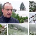 Sneg oštetio malinjake Zapadne Srbije: Institut za voćarstvo pojasnio kolika je šteta načinjena