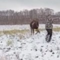 Lovac pucao, usledila brutalna osveta ranjene životinje Pomahnitala zver ga pregazila kao plitak potok, zastrašujuća scena…