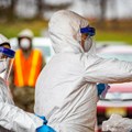 Smrtonosni virus usred Evrope kosi sve pred sobom: Za ovu bolest ne postoje ni lek ni vakcina - usmrćeno više od 370.000 ptica…