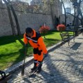 Radovi na održavanju javnih površina i zelenila u gradu