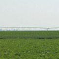 Poljoprivredno zemljište najskuplje kod Novog Sada: Hektar i do 36.700 evra