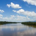 Nekoliko saveznih država u Brazilu pokušava da ukine zakone o zaštiti šuma