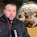 Ovoliko ćete morati da izdvojite ukoliko želite praseće i svinjsko pečenje na Božićnoj trpezi! "Za pečenicu 20 hiljada…