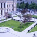Osušila se polovina novih stabala na Trgu Radomira Putnika: Šteta oko 35 hiljada evra