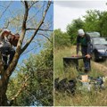 Da ne nestanu sa našeg neba Sive vetruške i stepski sokolovi dobijaju nova staništa u Rusandi