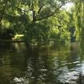 Naredni dani u Novom Sadu sunčani i veoma topli