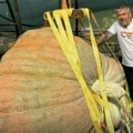 Dani ludaje U Kikindi doneli novog rekordera Zakićeva bundeva najslađa u Srbiji