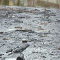 Poplave paralisale Dalmaciju, snimci su stravični: Ulice pretvorene u jezera, ljudi iz očaja ruše ograde