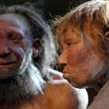 Utvrđeno: Neandertalci jeli žene i decu drugih, a razlog je potpuno bizaran
